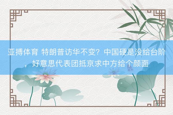 亚搏体育 特朗普访华不变？中国硬是没给台阶，好意思代表团抵京求中方给个颜面