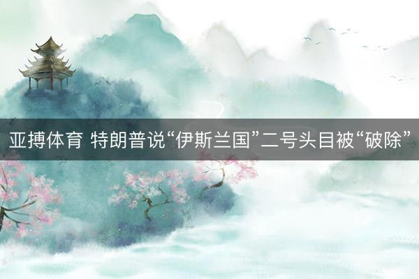 亚搏体育 特朗普说“伊斯兰国”二号头目被“破除”