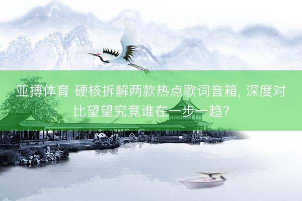亚搏体育 硬核拆解两款热点歌词音箱, 深度对比望望究竟谁在一步一趋?