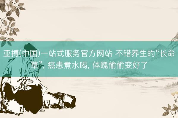 亚搏(中国)一站式服务官方网站 不错养生的“长命草”， 癌患煮水喝， 体魄偷偷变好了