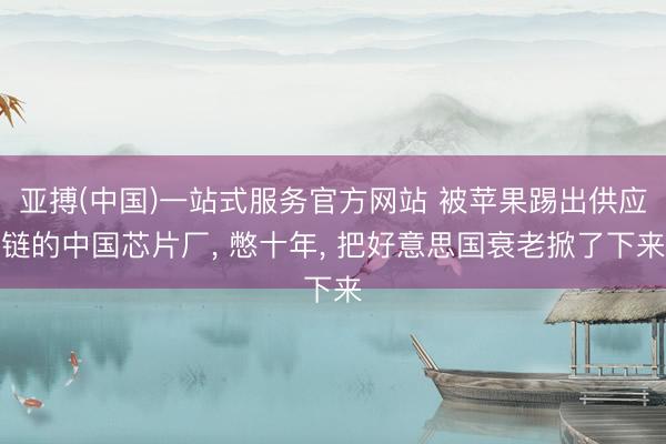 亚搏(中国)一站式服务官方网站 被苹果踢出供应链的中国芯片厂， 憋十年， 把好意思国衰老掀了下来