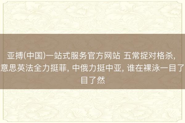 亚搏(中国)一站式服务官方网站 五常捉对格杀， 好意思英法全力挺菲， 中俄力挺中亚， 谁在裸泳一目了然