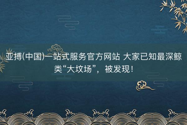 亚搏(中国)一站式服务官方网站 大家已知最深鲸类“大坟场”，被发现！