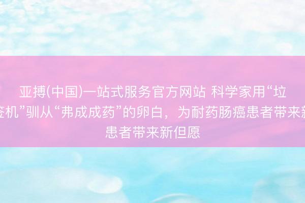 亚搏(中国)一站式服务官方网站 科学家用“垃圾标签机”驯从“弗成成药”的卵白，为耐药肠癌患者带来新但愿