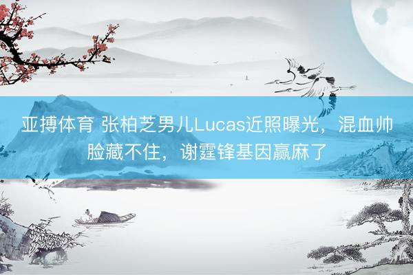 亚搏体育 张柏芝男儿Lucas近照曝光，混血帅脸藏不住，谢霆锋基因赢麻了