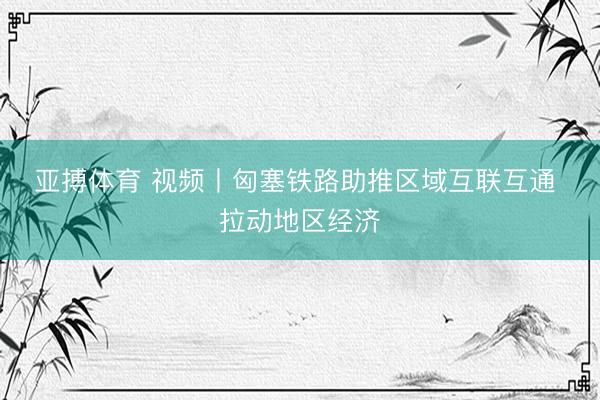 亚搏体育 视频丨匈塞铁路助推区域互联互通 拉动地区经济