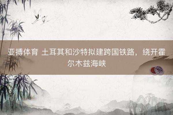 亚搏体育 土耳其和沙特拟建跨国铁路，绕开霍尔木兹海峡