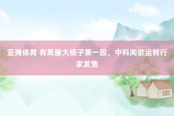 亚搏体育 有策画大模子第一股，中科闻歌运转行家发售
